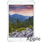 Ремонт Apple iPad mini 3 в Новосибирске