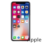 Ремонт iPhone X(10) в Новосибирске